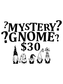 Mystery Garden Gnome